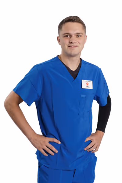 staff profile
