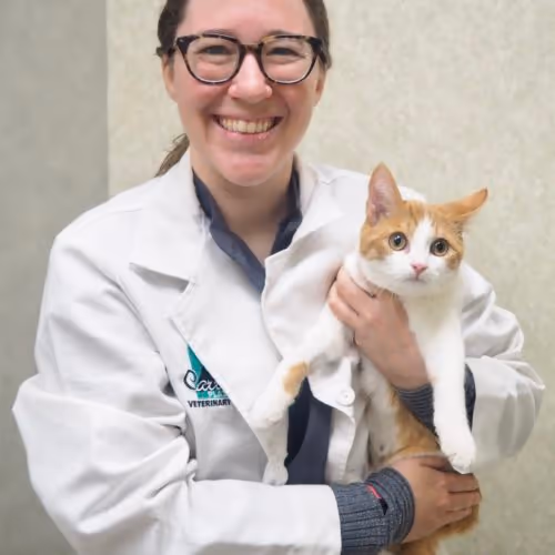 staff profile