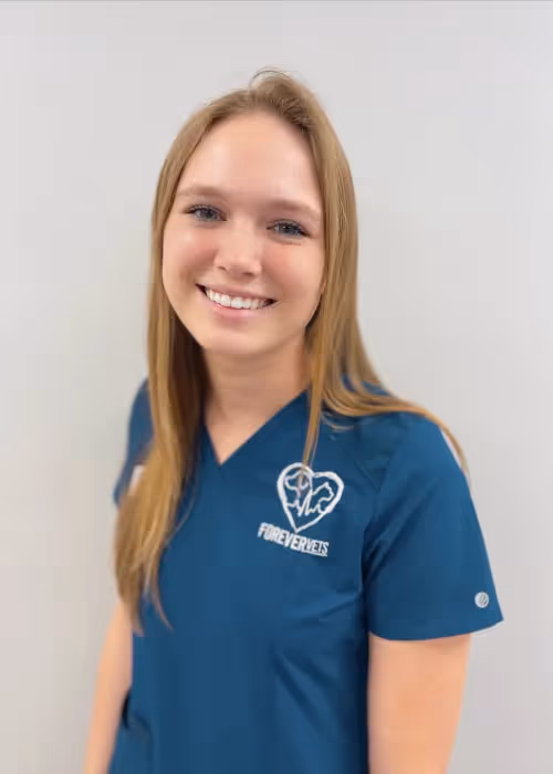 staff profile