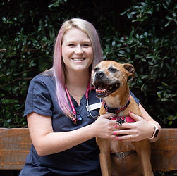 staff profile