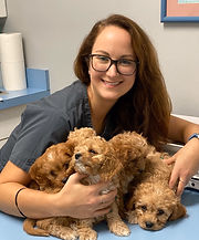 staff profile