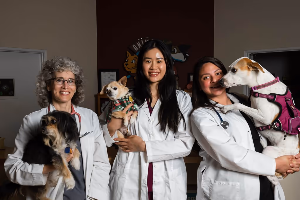 staff profile