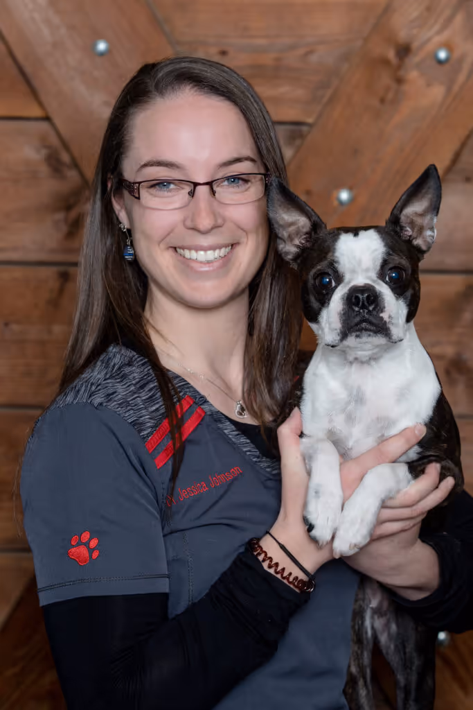 staff profile