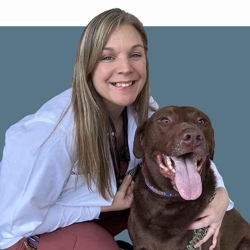staff profile