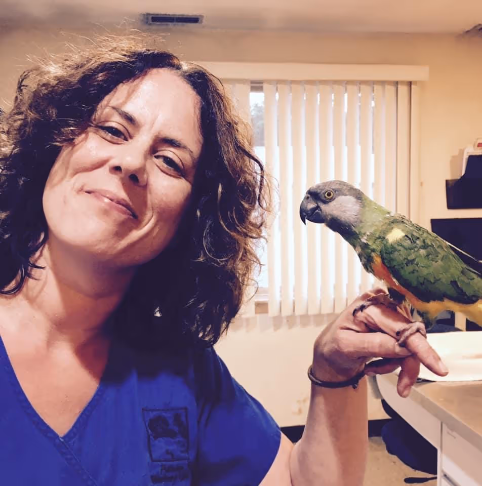 staff profile