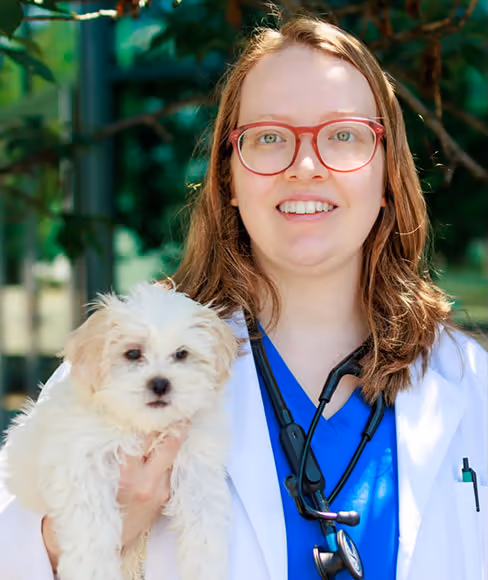 staff profile