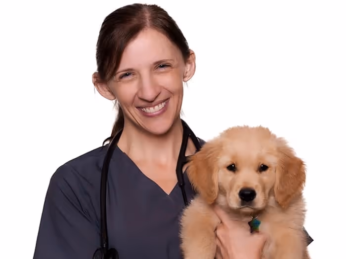 staff profile