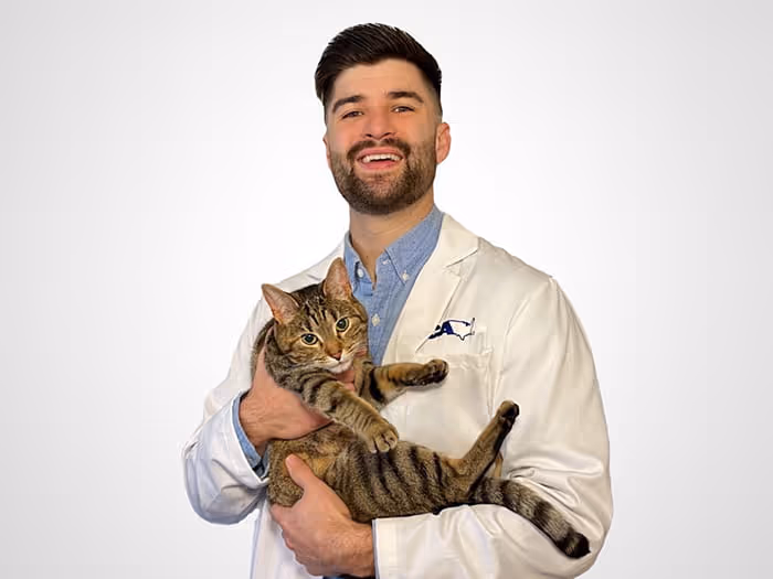 staff profile