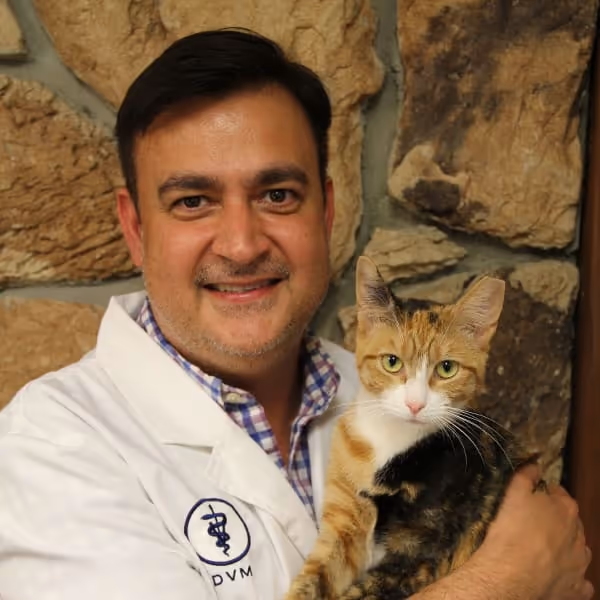 staff profile