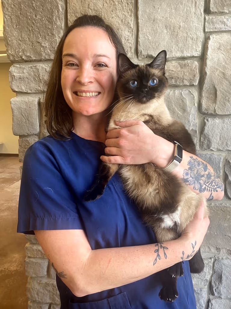 staff profile