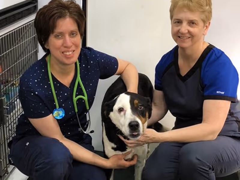 staff profile