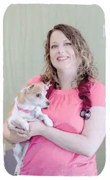staff profile