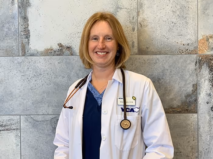 staff profile