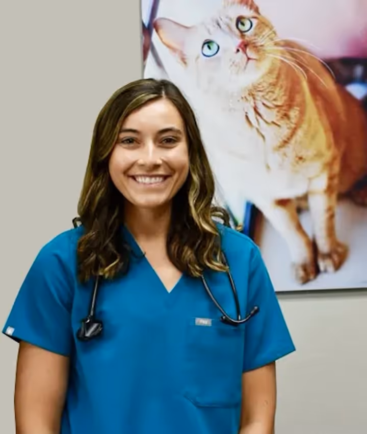 staff profile