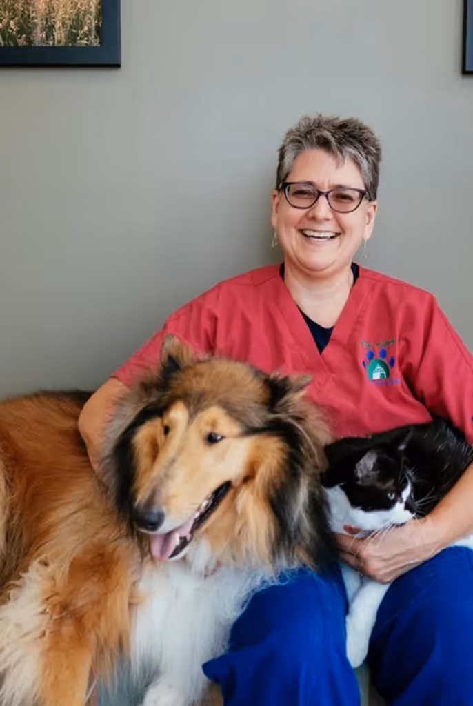 staff profile
