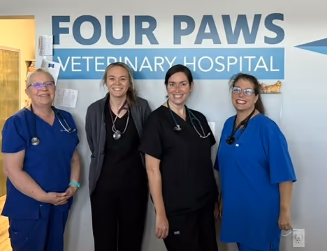 staff profile