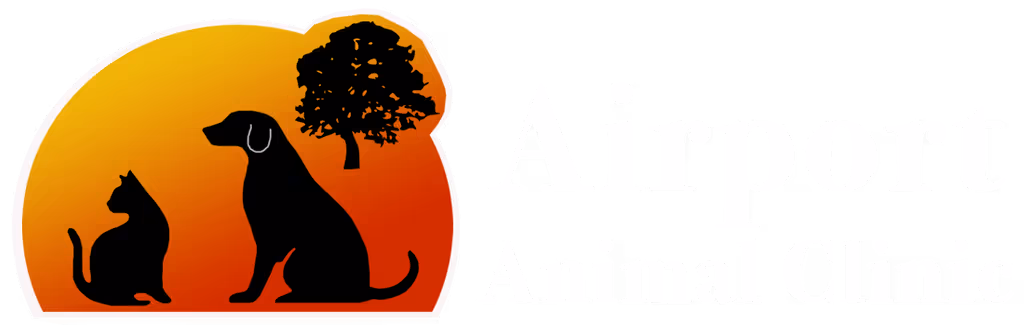 staff profile