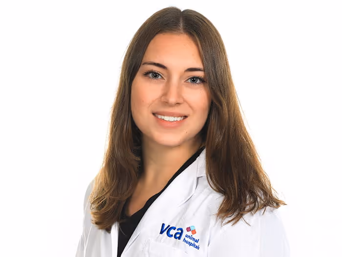 staff profile