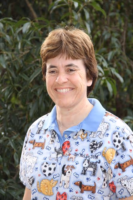 staff profile