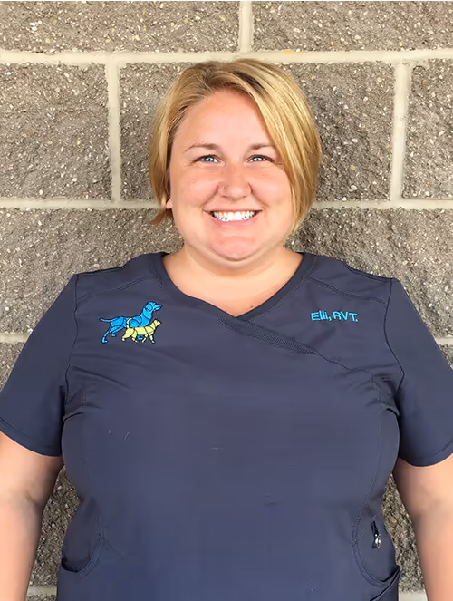 staff profile