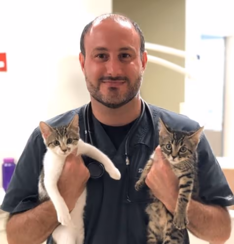 staff profile