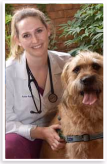 staff profile
