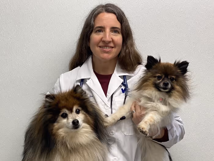 staff profile