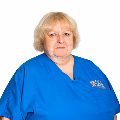 staff profile
