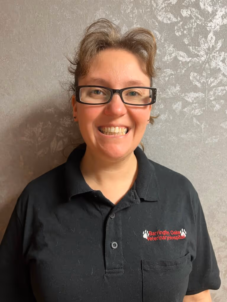 staff profile