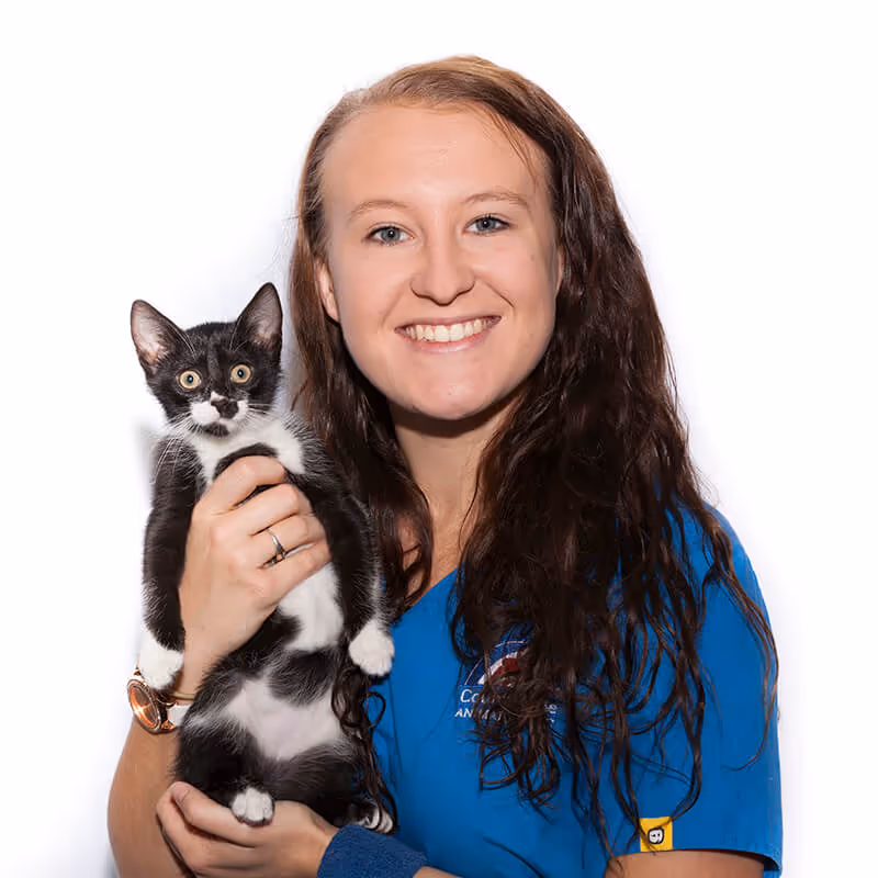 staff profile