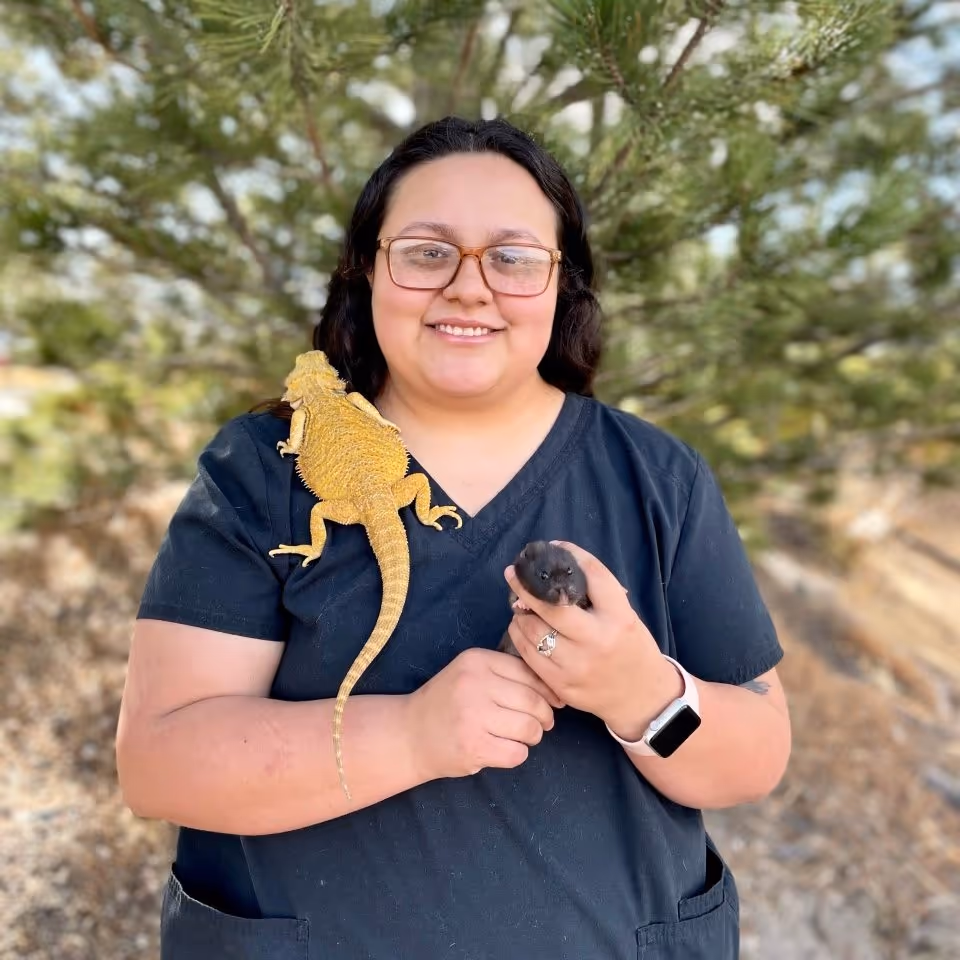 staff profile