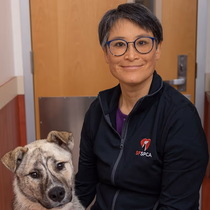 staff profile