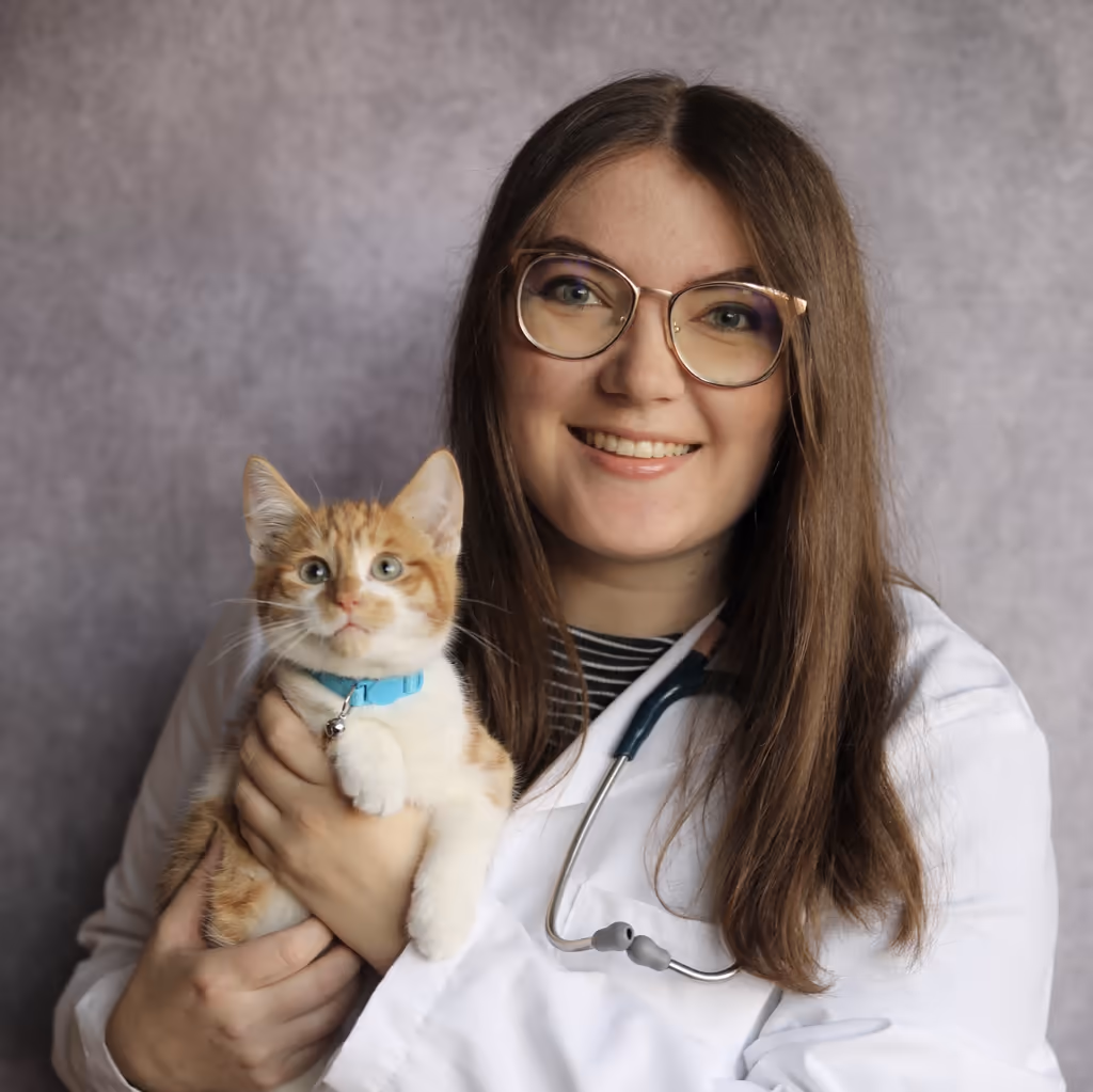 staff profile