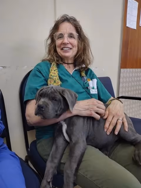 Profile photo of Kailey, Student Assistant