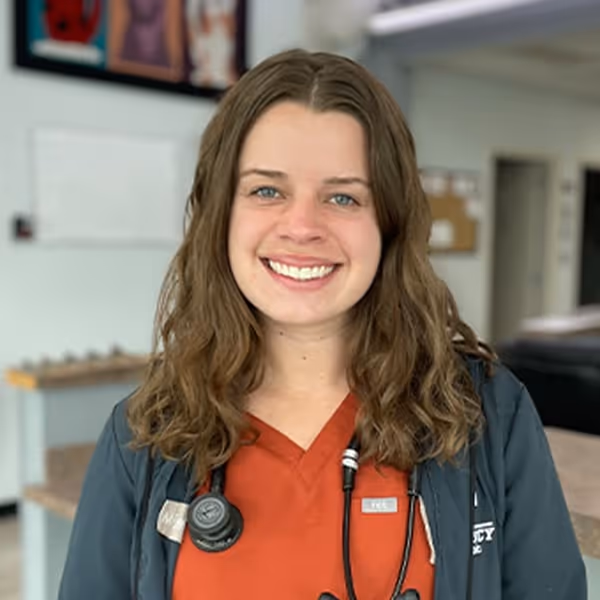 staff profile