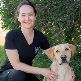 staff profile