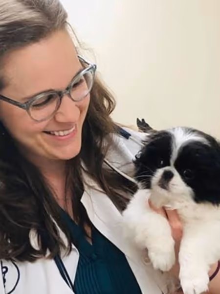 staff profile