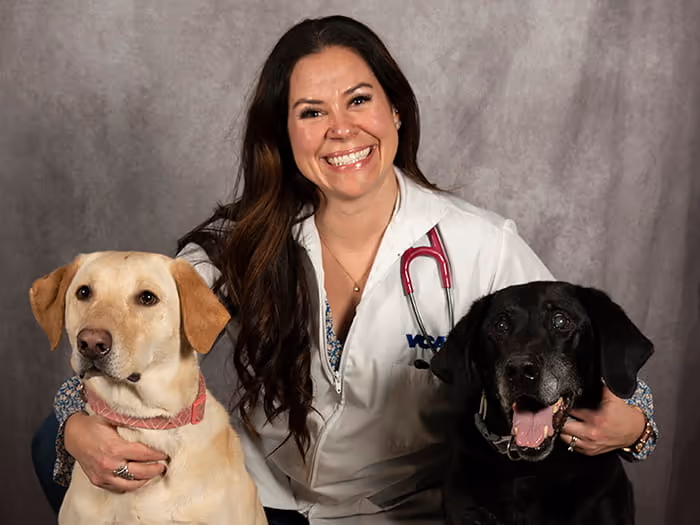 staff profile