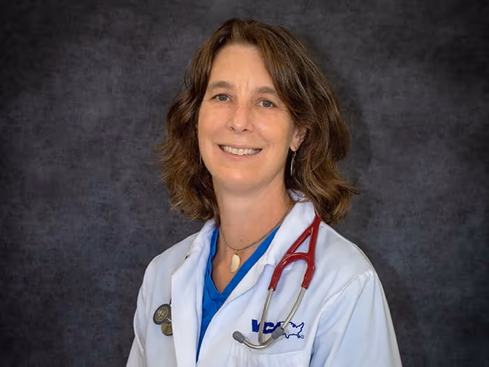 staff profile