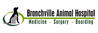 Branchville Animal Hospital - Pet services facility