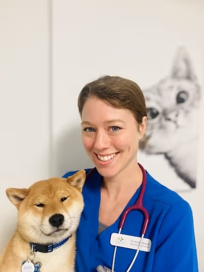 staff profile