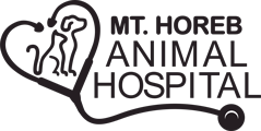 staff profile