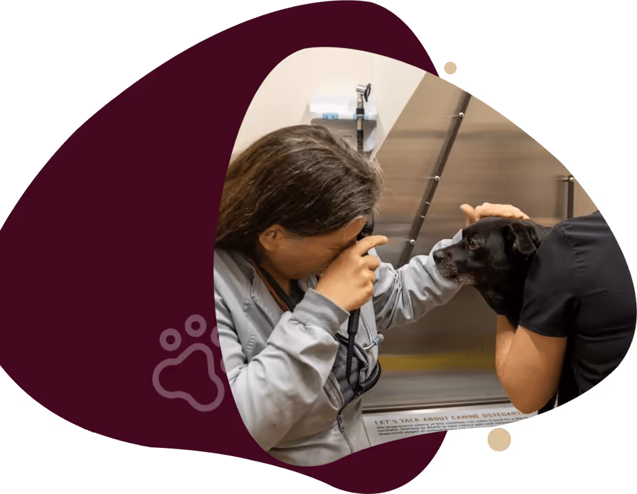 facility profile image