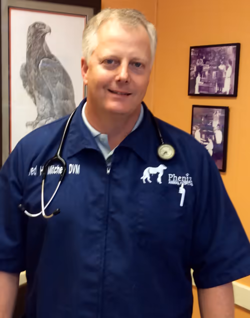 staff profile