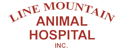 staff profile