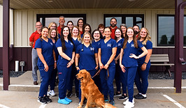 staff profile