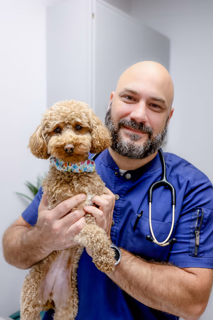 staff profile