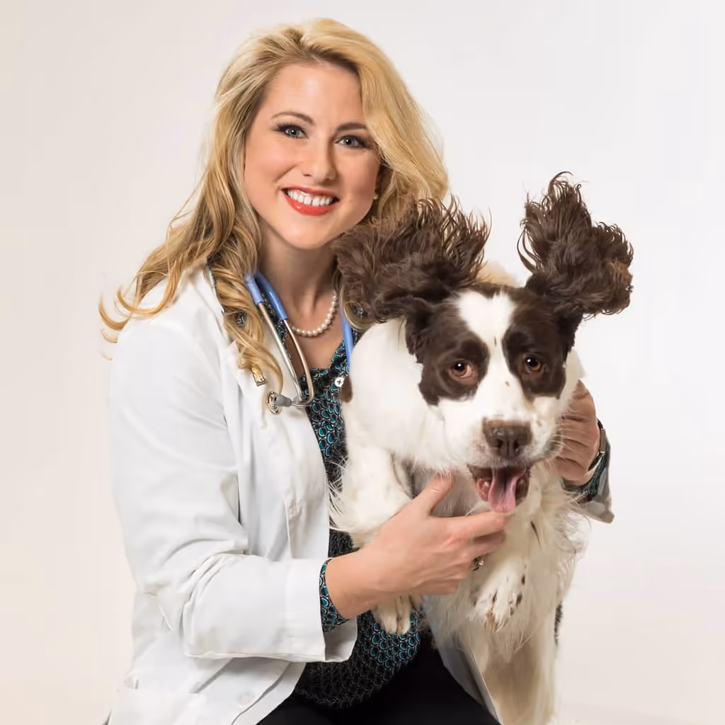 staff profile