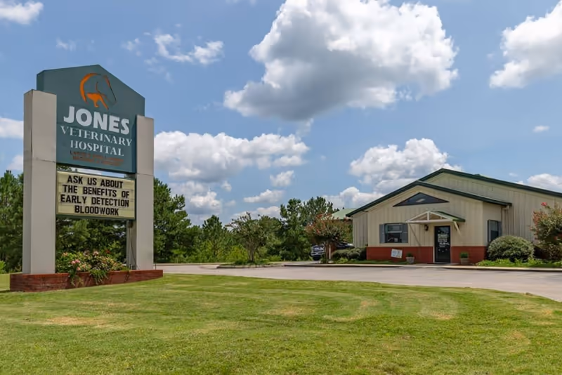 Jones Veterinary Hospital - Pet services facility