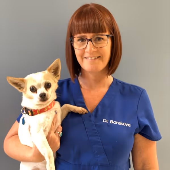 staff profile